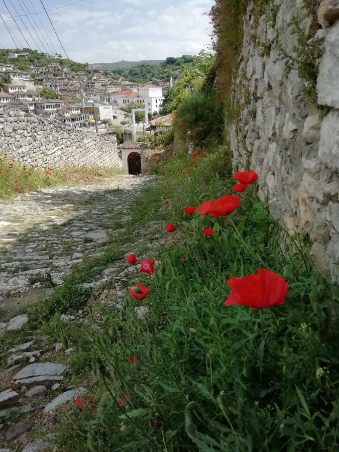 Guesthouse Belle View Berat Exterior photo